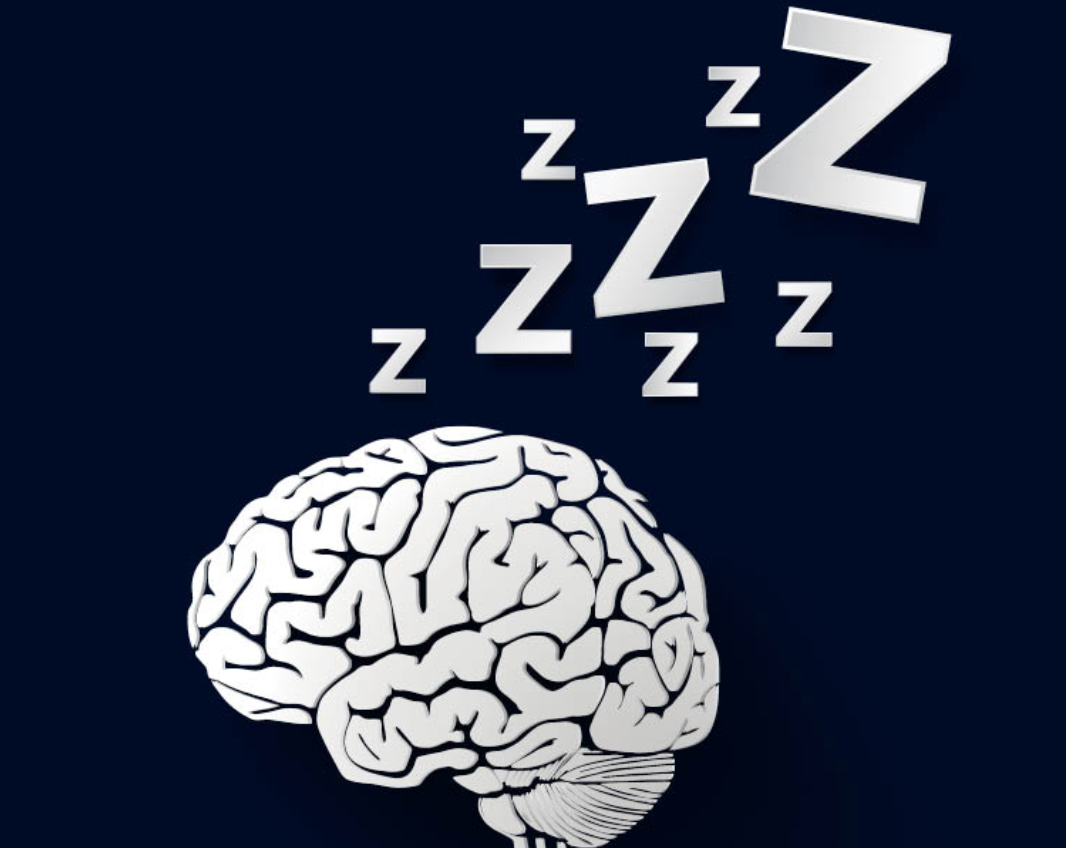 The Science Behind Sleep