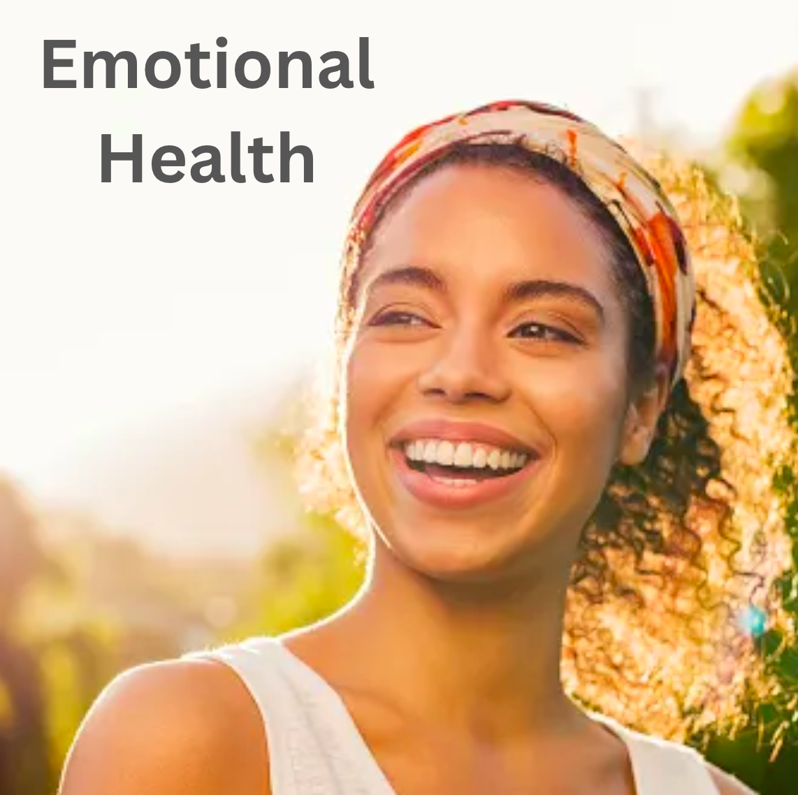 The Vital Importance of Emotional Health - A Guide to a Balanced Life.